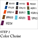 step2 : color choise